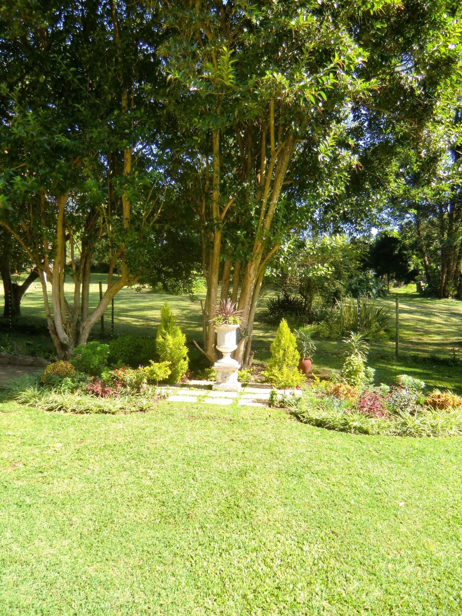 Warrens Guest House Hillcrest Camera foto